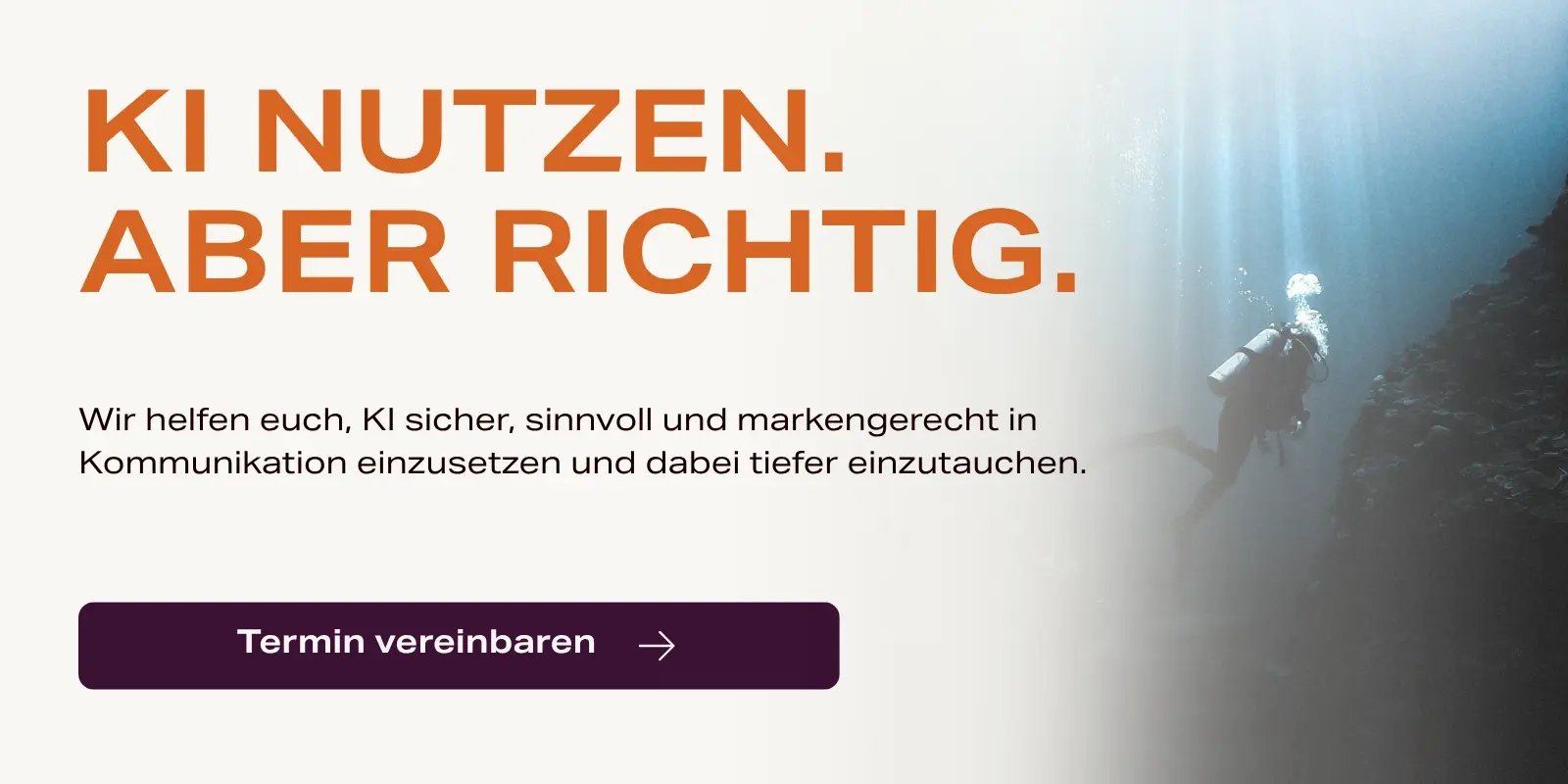 CTA-KI-nutzen-Aber-richtig-Blog-AI-Eu-Act-C.FISH