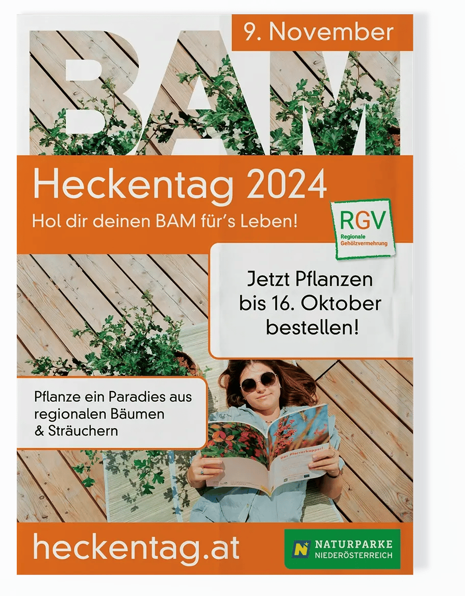 RGV-Heckentag-Mockup-Poster-case-study-C.FISH