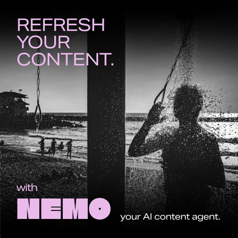 Visual-C.FISH-Nemo-Navigation Kopie